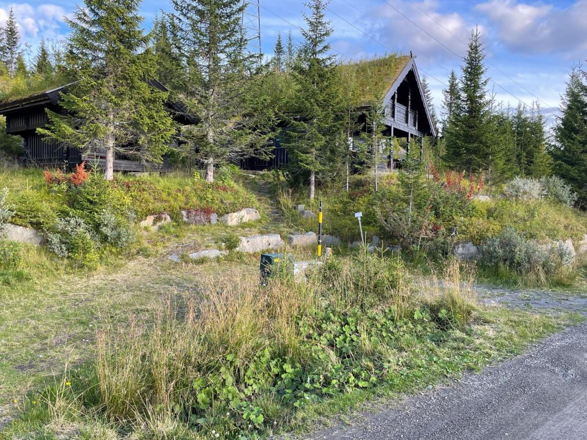 Ski And Bike-In And Out Hafjell Exterior photo